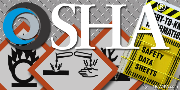 Executive Summary - OSHA Statistics